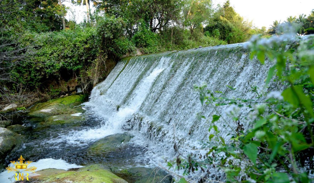 Royal Nature Resort Pollāchi Εξωτερικό φωτογραφία